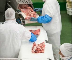Cárnicas Loriente, Luis Simoes Logística y Mecanizados Solares recibirán más de un millón de euros del CDTI