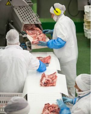 Cárnicas Loriente, Luis Simoes Logística y Mecanizados Solares recibirán más de un millón de euros del CDTI