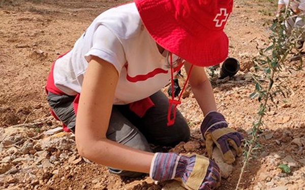 Cruz Roja compensará sus emisiones de dióxido de carbono con acciones de reforestación 1 Cruz Roja compensará sus emisiones de dióxido de carbono con acciones de reforestación