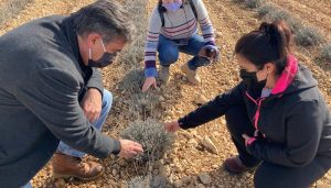El Gobierno regional destaca el potencial de la provincia de Cuenca en la creación de proyectos innovadores dentro del sector agroalimentario