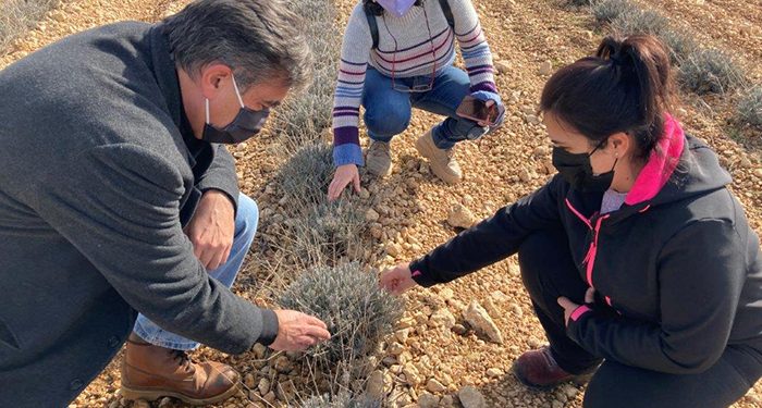 El Gobierno regional destaca el potencial de la provincia de Cuenca en la creación de proyectos innovadores dentro del sector agroalimentario