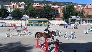 El PP avisa Cuenca se puede quedar sin Concurso Hípico por segundo año consecutivo