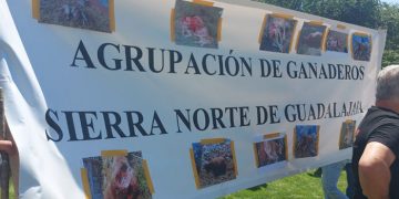 Guadalajara pide en Madrid protección para los ganaderos antes que para el lobo