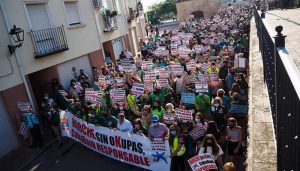 Horche reclama soluciones en contra de la okupación y sus consecuencias