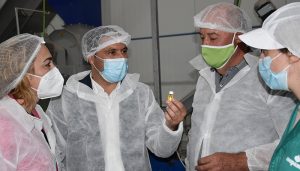 La Diputación de Cuenca invertirá 15.000 euros en la promoción del Ajo Morado de Las Pedroñeras en este 2021