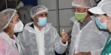 La Diputación de Cuenca invertirá 15.000 euros en la promoción del Ajo Morado de Las Pedroñeras en este 2021