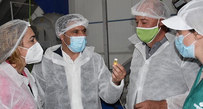 La Diputación de Cuenca invertirá 15.000 euros en la promoción del Ajo Morado de Las Pedroñeras en este 2021 1 La Diputación de Cuenca invertirá 15.000 euros en la promoción del Ajo Morado de Las Pedroñeras en este 2021