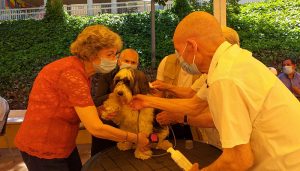 La Diputación de Cuenca organiza un programa de actividades para celebrar en la Residencia Provincial la festividad de su patrón