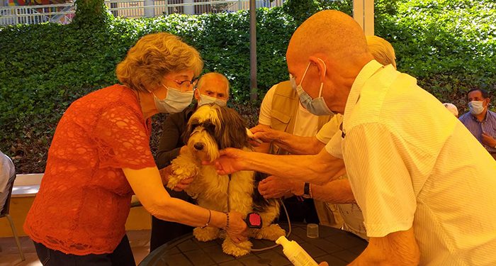 La Diputación de Cuenca organiza un programa de actividades para celebrar en la Residencia Provincial la festividad de su patrón 1 La Diputación de Cuenca organiza un programa de actividades para celebrar en la Residencia Provincial la festividad de su patrón