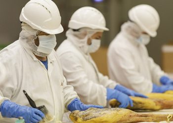 La estabilidad y la igualdad, bases del crecimiento de la plantilla de Incarlopsa en 2020