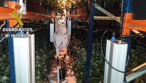 La Guardia Civil desmantela una plantación de marihuana “indoor” en la urbanización Sotolargo