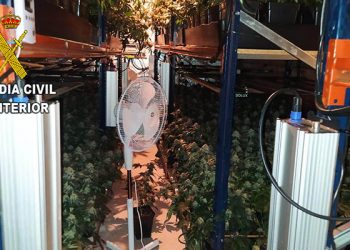 La Guardia Civil desmantela una plantación de marihuana “indoor” en la urbanización Sotolargo