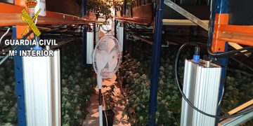 La Guardia Civil desmantela una plantación de marihuana “indoor” en la urbanización Sotolargo
