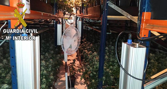 La Guardia Civil desmantela una plantación de marihuana “indoor” en la urbanización Sotolargo 1 La Guardia Civil desmantela una plantación de marihuana “indoor” en la urbanización Sotolargo
