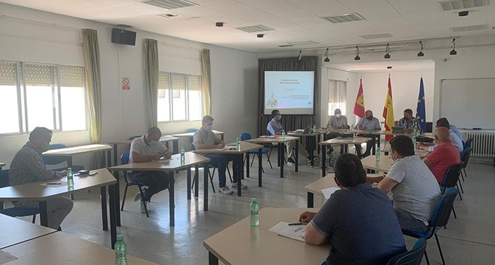 La Mesa Nacional del Ajo prevé la recuperación de los precios del sector, en una campaña que comienza por debajo de costes