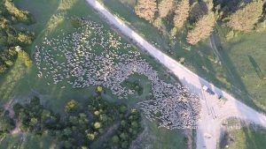 mira que eres linda youtube 480p00 02 57 21imagen fija001