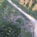 Trashumancia. Un dron en Los Vasallos