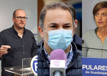 PrecandidatosPP