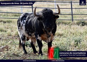 Seriedad y trapío para el concurso internacional de recortadores de Yunquera de Henares