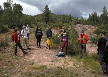 Tamajón acoge un curso sobre los recursos naturales del parque de la Sierra Norte