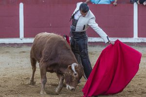 Triunfo de Jesús Duque en el festejo celebrado en Talayuelas