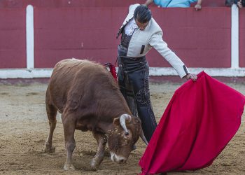 Triunfo de Jesús Duque en el festejo celebrado en Talayuelas