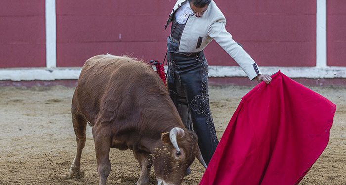 Triunfo de Jesús Duque en el festejo celebrado en Talayuelas