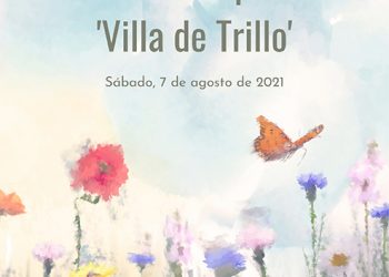 XVIII Concurso de Pintura Rápida 'Villa de Trillo'