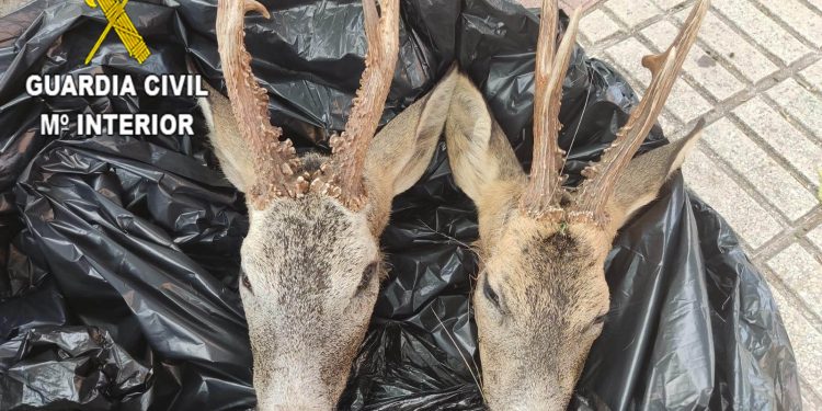 2021 07 22 foto prensa