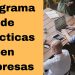 CEOE Guadalajara anima a las empresas a coger alumnos en prácticas de sus cursos de formación