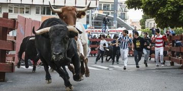 El Ayuntamiento de Guadalajara organizará los eventos taurinos de septiembre al quedar desierta su adjudicación