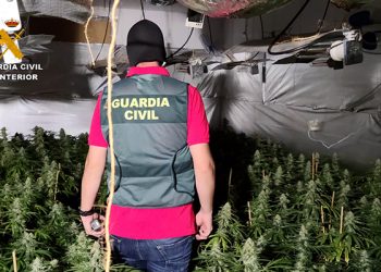La Guardia Civil ha desarticulado un grupo familiar dedicado al cultivo y producción de marihuana en Torrejón del Rey