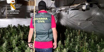 La Guardia Civil ha desarticulado un grupo familiar dedicado al cultivo y producción de marihuana en Torrejón del Rey