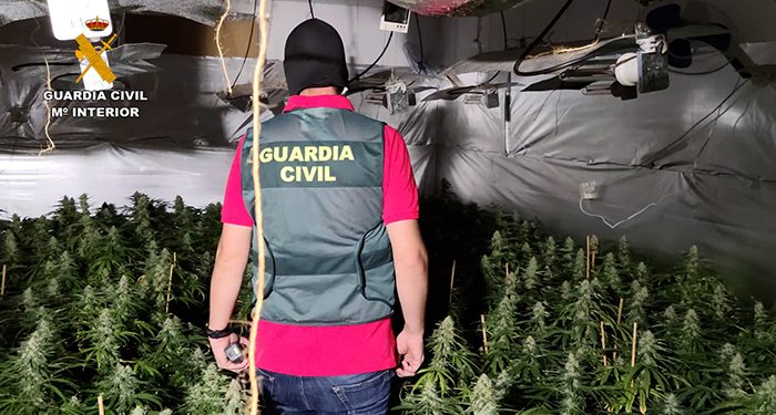 La Guardia Civil ha desarticulado un grupo familiar dedicado al cultivo y producción de marihuana en Torrejón del Rey
