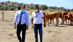 Núñez exige a Page la retirada de sus guías de consumo por ser un ataque directo a los ganaderos de la región”