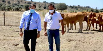 Núñez exige a Page la retirada de sus guías de consumo por ser un ataque directo a los ganaderos de la región”