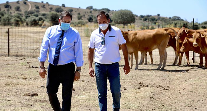 Núñez exige a Page la retirada de sus guías de consumo por ser un ataque directo a los ganaderos de la región”