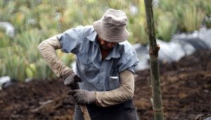 Unión de Uniones echa en cara a Trabajo que siga poniendo al campo en el centro de la diana de sus inspecciones 2 Unión de Uniones echa en cara a Trabajo que siga poniendo al campo en el centro de la diana de sus inspecciones