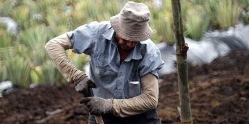 Unión de Uniones echa en cara a Trabajo que siga poniendo al campo en el centro de la diana de sus inspecciones