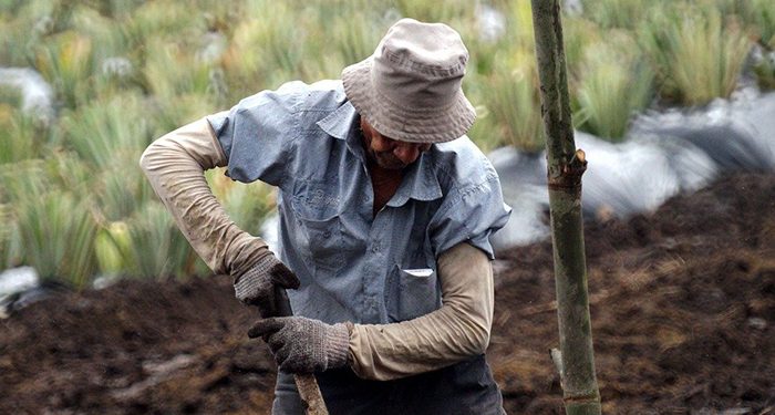 Unión de Uniones echa en cara a Trabajo que siga poniendo al campo en el centro de la diana de sus inspecciones 1 Unión de Uniones echa en cara a Trabajo que siga poniendo al campo en el centro de la diana de sus inspecciones