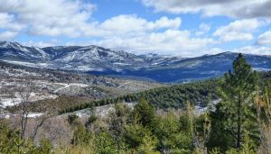 Admitido a trámite el recurso de Ecologistas en Acción y WWF España contra el decreto que desprotege el Parque Natural de la Sierra Norte de Guadalajara