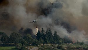 ATAIRE alerta del riesgo extremo de incendios forestales por la intensa ola de calor prevista para el fin de semana