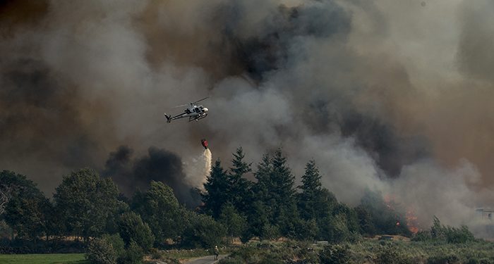 ATAIRE alerta del riesgo extremo de incendios forestales por la intensa ola de calor prevista para el fin de semana