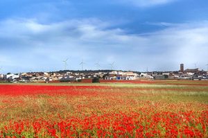 Campillo de Altobuey