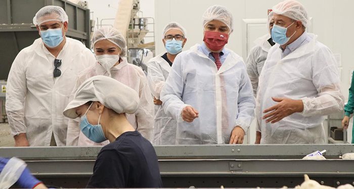 Castilla-La Mancha apuesta por el ajo morado de Las Pedroñeras como punta de lanza del sector por la economía social que genera en la región