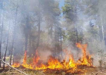 Dieciocho personas luchan contra el fuego en Archilla