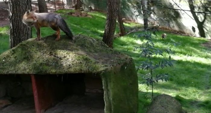 El Ayuntamiento de Guadalajara licita la gestión del nuevo bar del zoo tras una remodelación integral con una inversión de 270.000 euros