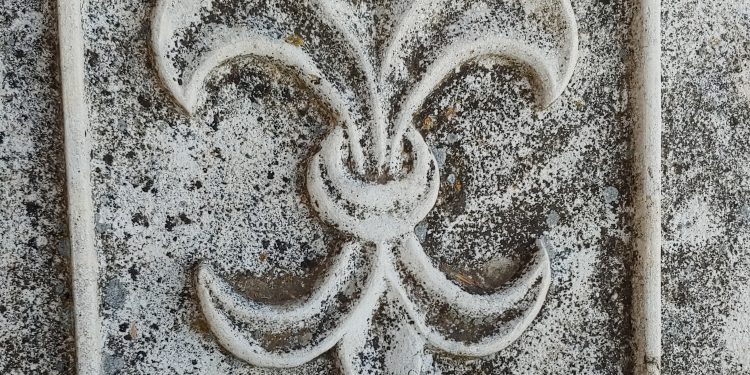 En la España que vaciaron. Gascueña