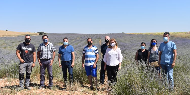El Gobierno regional y la Diputación Provincial de Cuenca destacan la figura de jóvenes como ´Tractorista de Castilla´ 1 foto visita tractorista de castilla