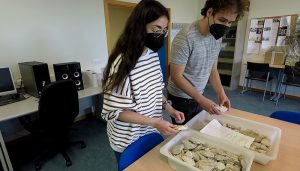 Historia Cultural, un grado que se ocupa de verdad de los seres humanos y sus relaciones... Y con salida laboral